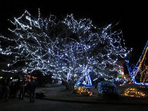 五ヶ所浦児童公園 イルミネーション その2
