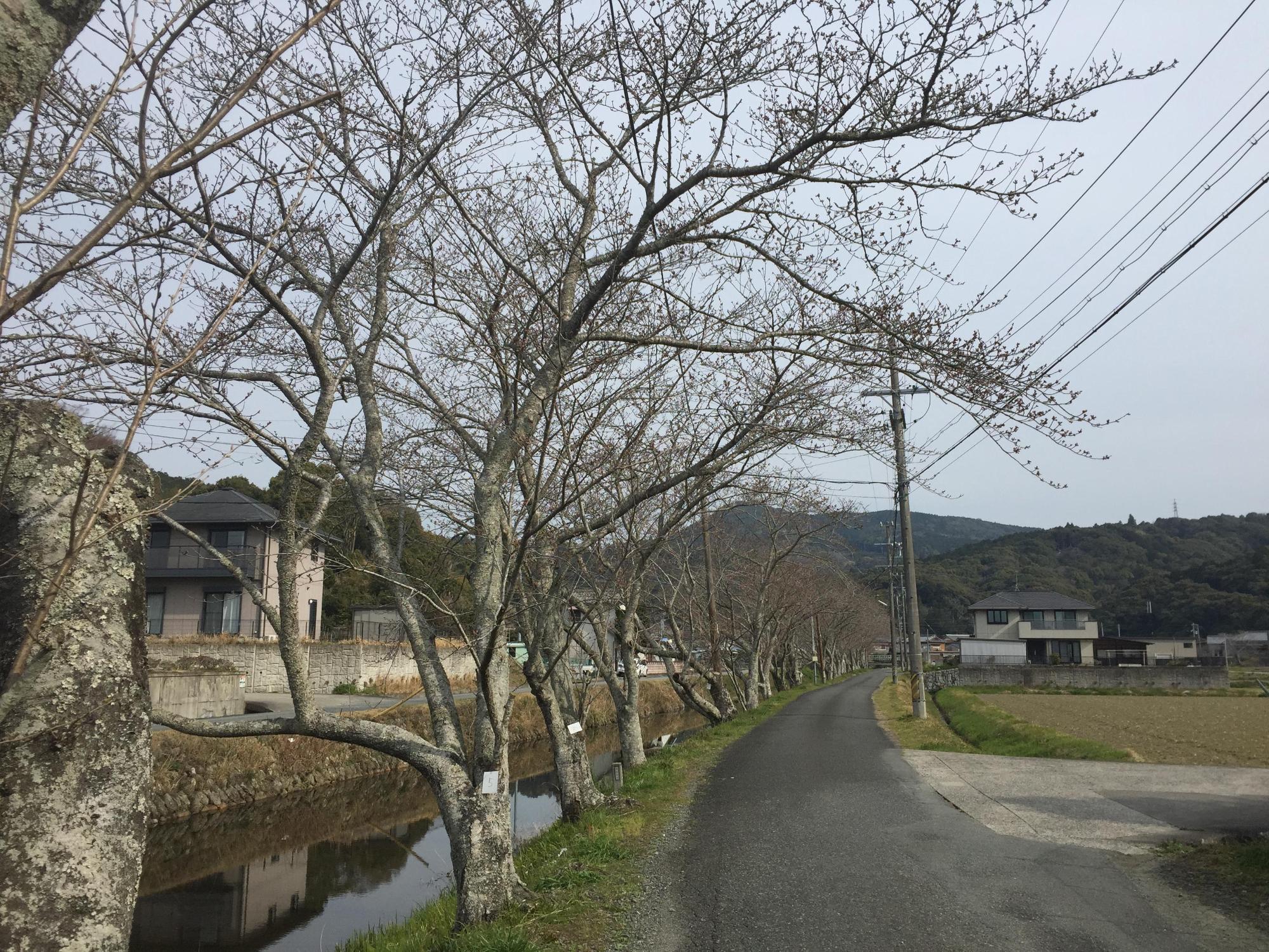 3月30日