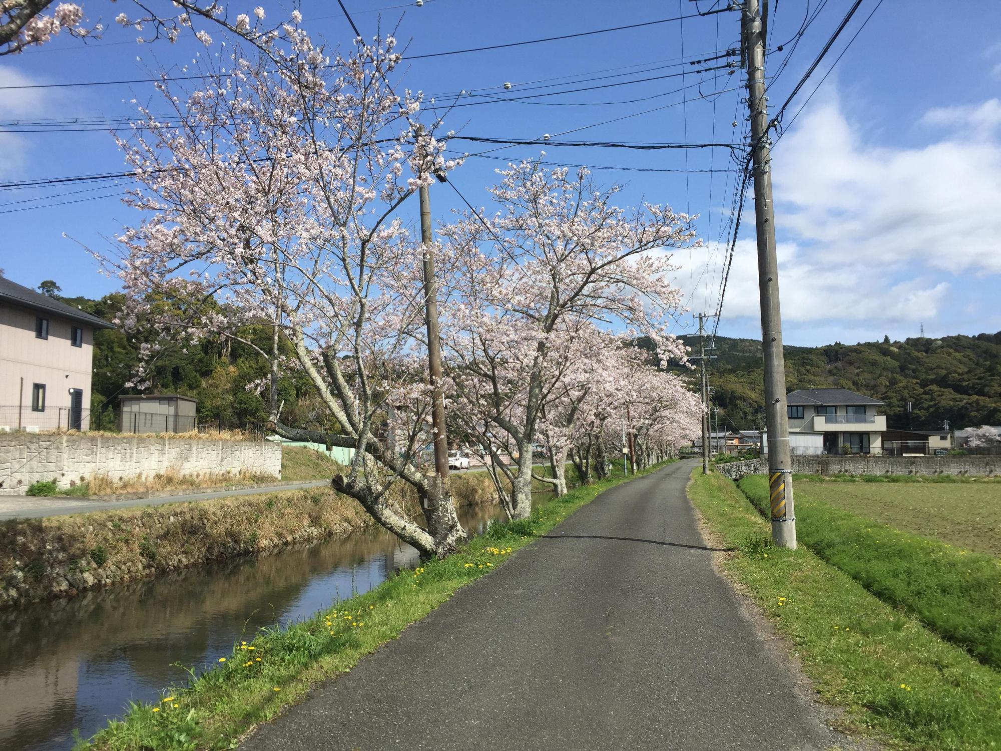 4月5日