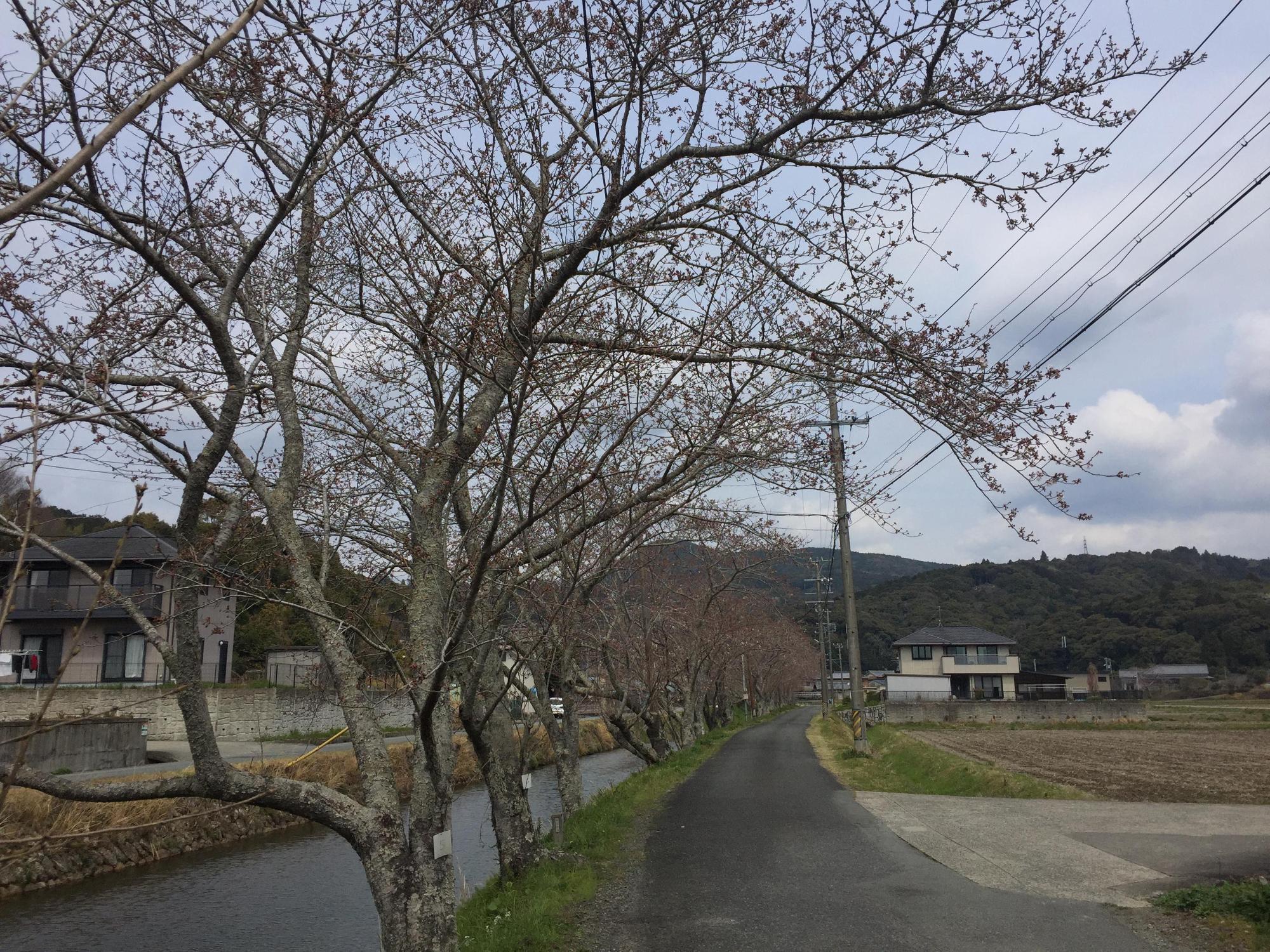 4月5日