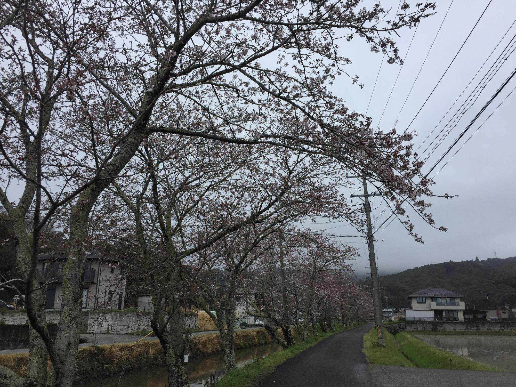 4月7日