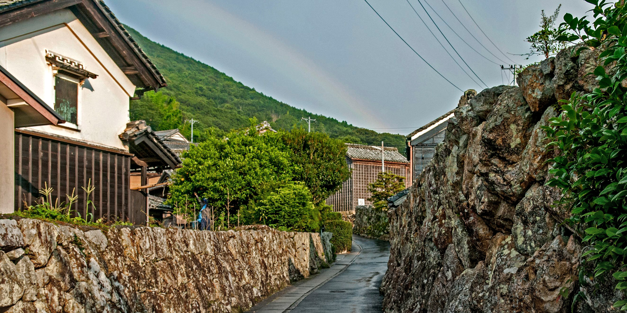 雨上がりの切原の石垣を写した写真。