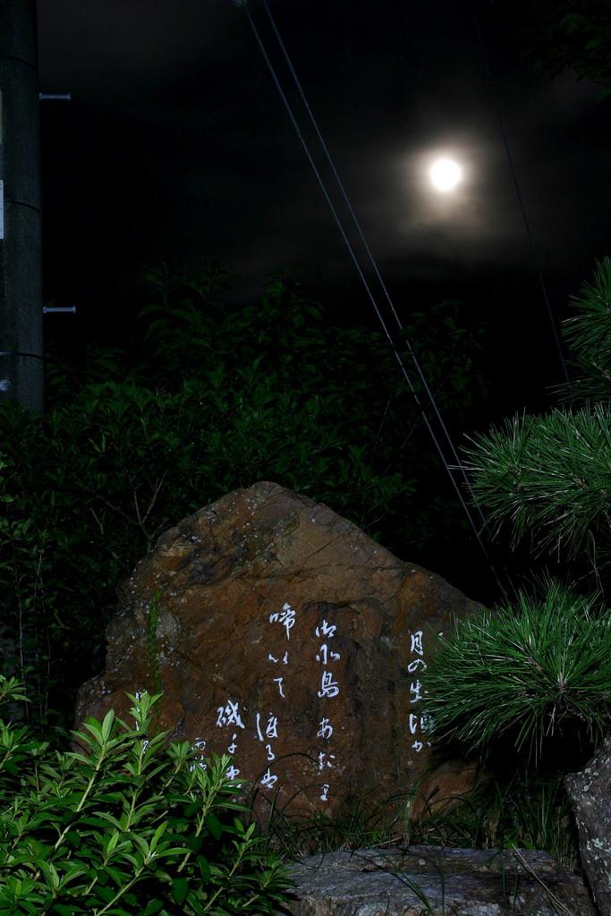 月光と詩碑の写真