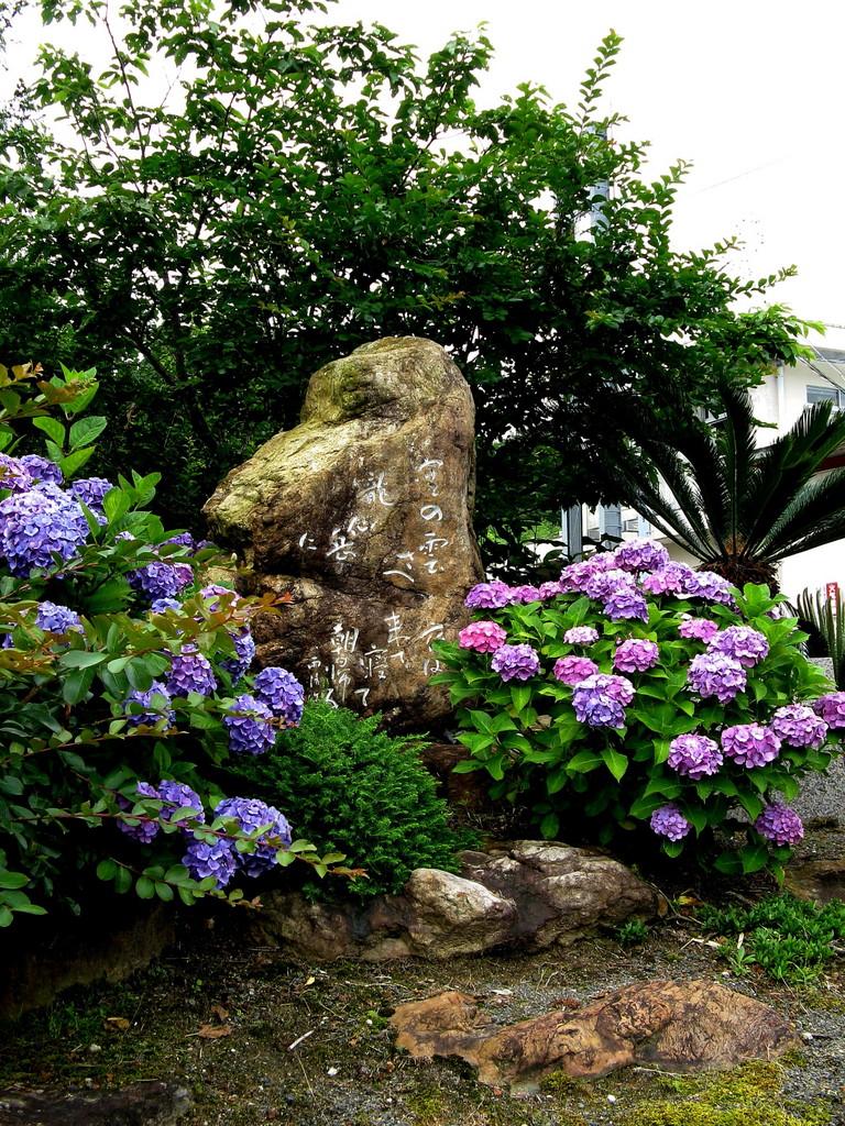 紫陽花に包まれた詩碑の写真
