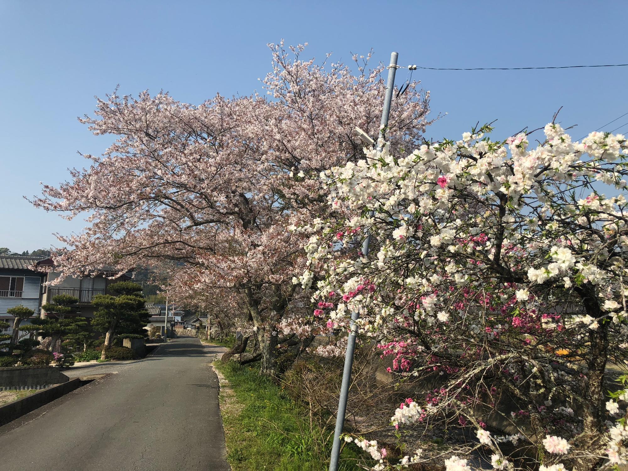 2018年4月3日（火曜日）午後