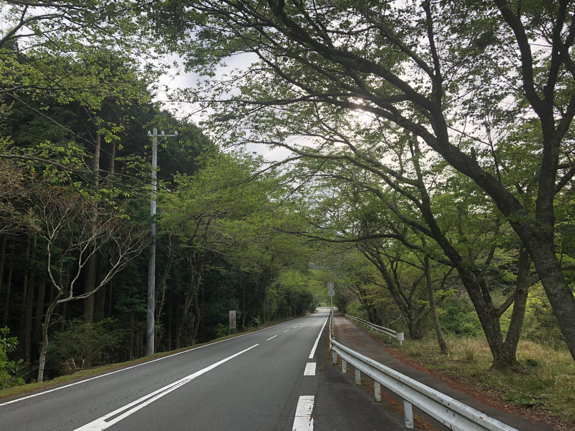 2018年4月12日（木曜日）午後