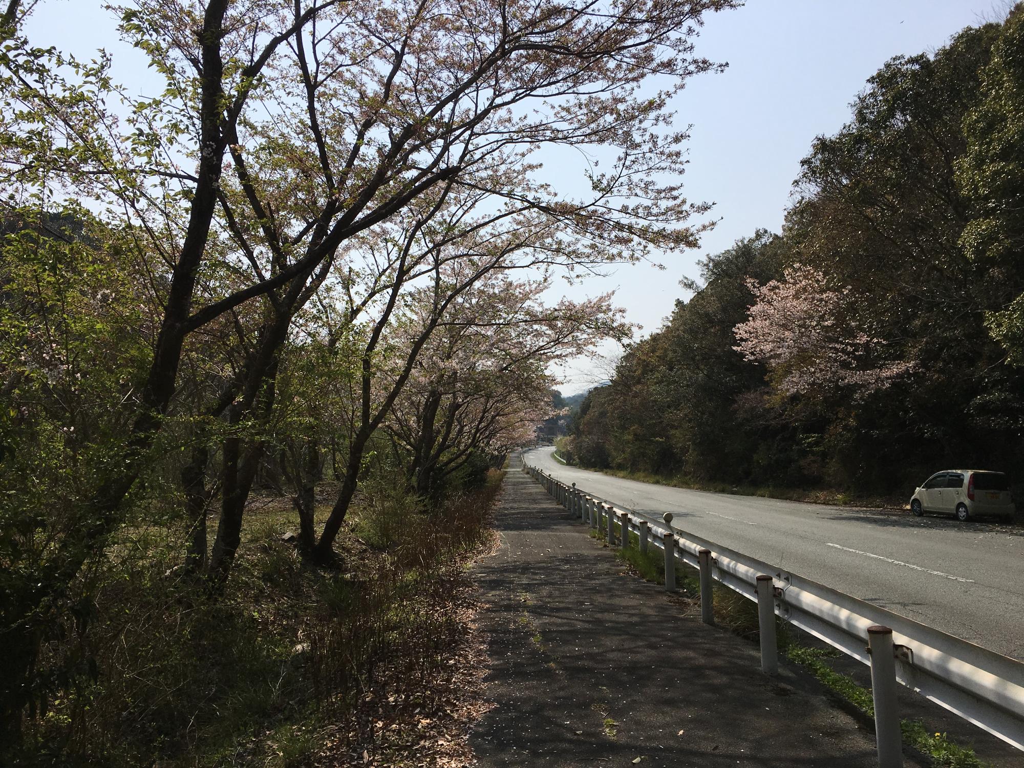 2018年4月3日（火曜日）午後