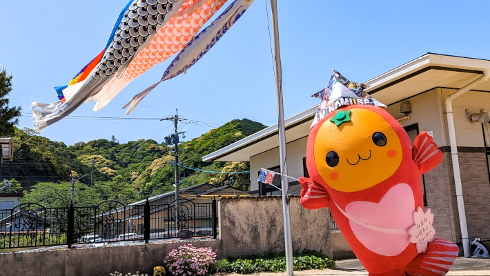 たいみーと鯉のぼりの写真
