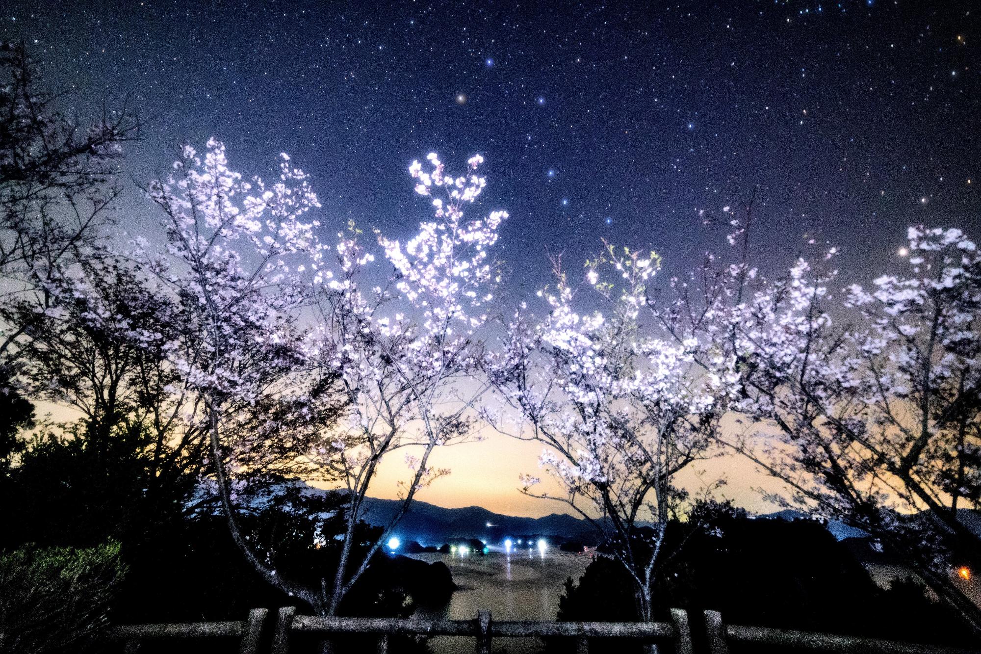 star_akebono_190406_2025