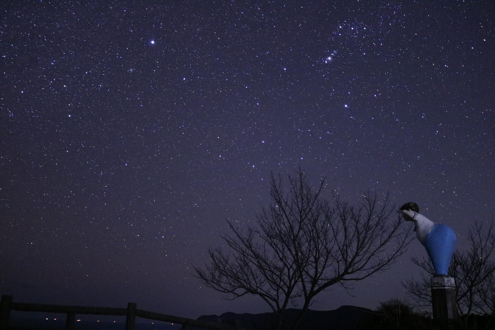 star_nankai_260125_0015