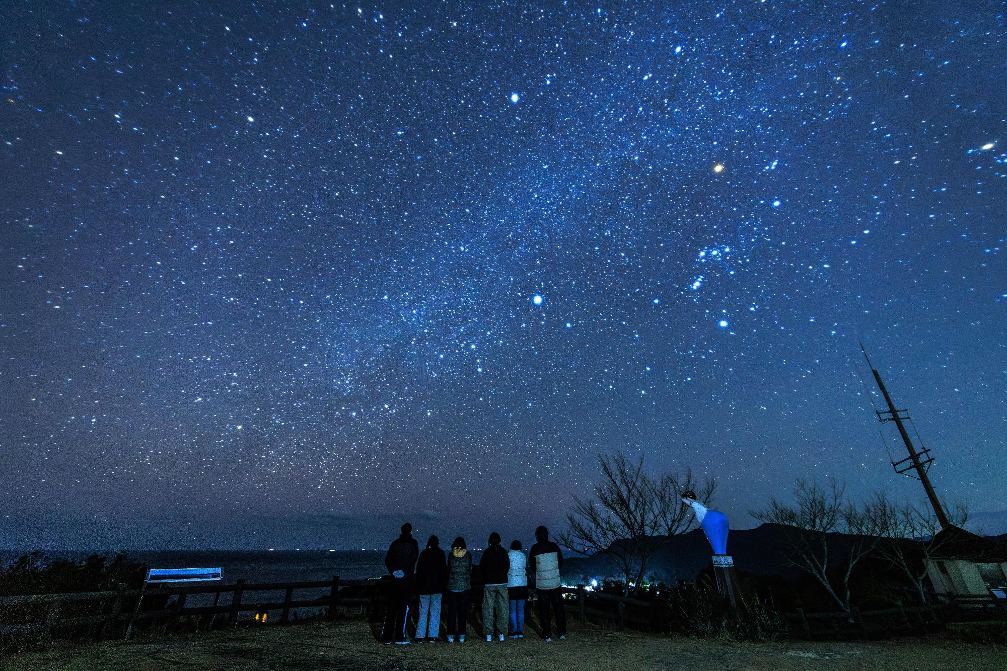 star_nankai_260125_0025