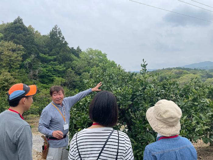 みかんの学校の活動写真の画像