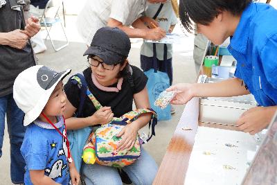 水産センター一般公開3