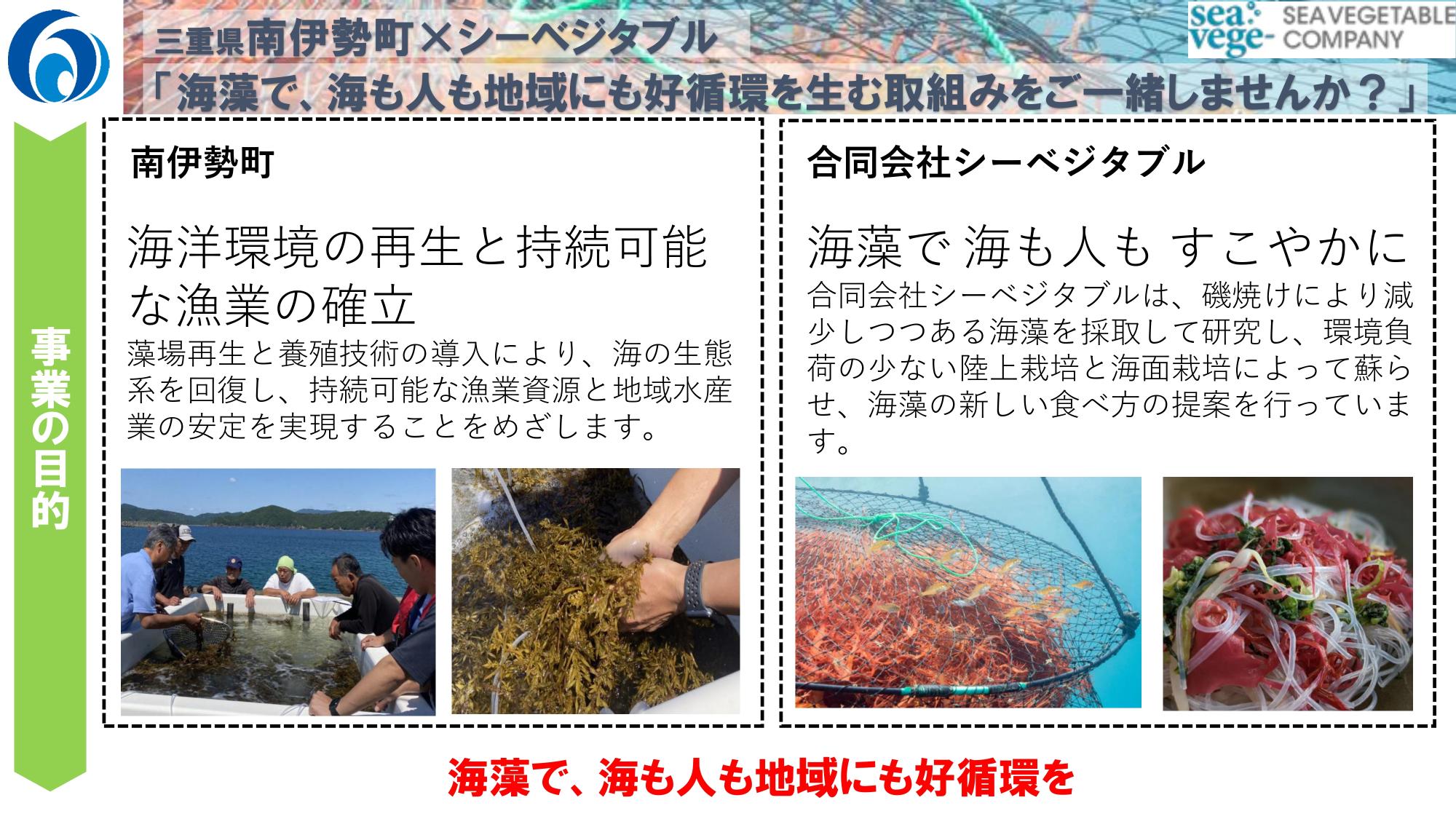 説明資料抜粋