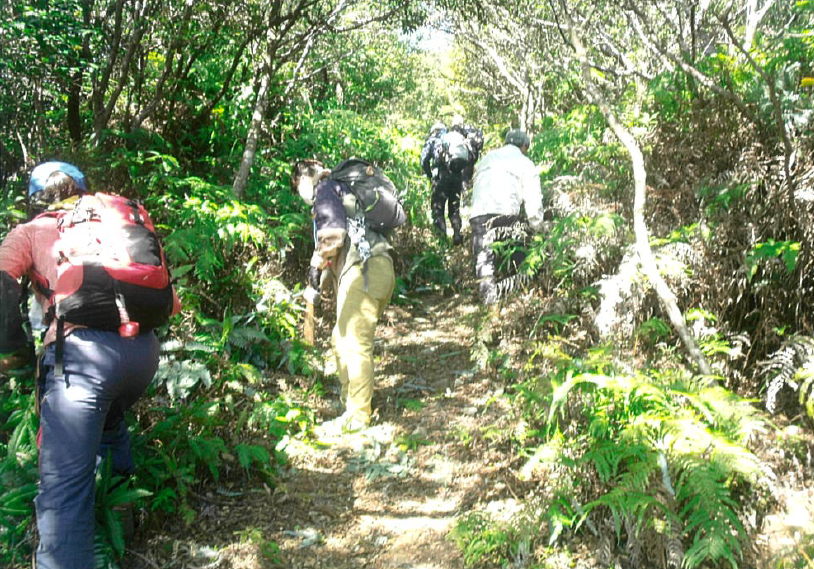 登山道の整備