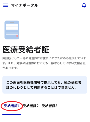 マイナポータル画面3
