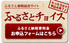 ふるさと納税総合サイト。ふるさとチョイス。たった5分で申込完了。ふるさと納税寄付金お申込みフォームはこちら