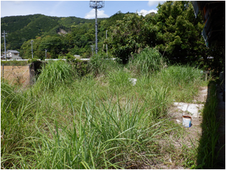 detached 南伊勢町河内（物件第97号）

大きな地図を見る
