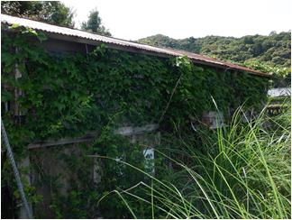 detached 南伊勢町河内（物件第97号）

大きな地図を見る