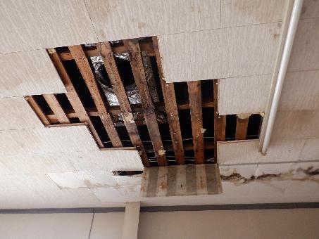 commercial 南伊勢町神前浦（店5）

大きな地図を見る