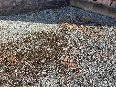  南伊勢町阿曽浦16番地16（土地4号）

大きな地図を見る