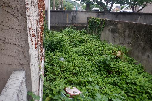  南伊勢町迫間浦（物件第276号）

大きな地図を見る