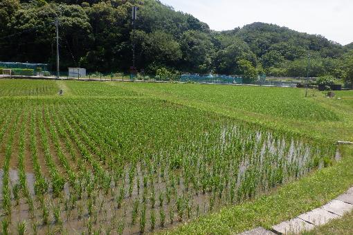 detached 南伊勢町道方（物件第313号）

大きな地図を見る